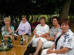 2011 Ehrenscheiben Schiessen